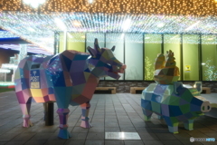 道の駅都城NIQLLのイルミネーションを見にくる８