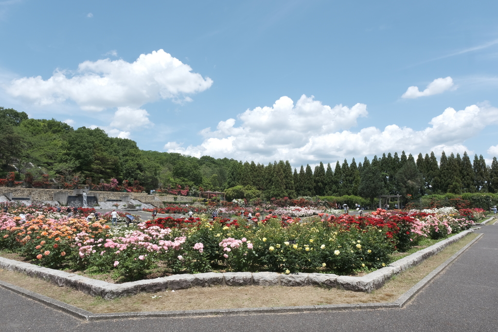 緊急事態宣言解除後も安全行動を心掛けて１