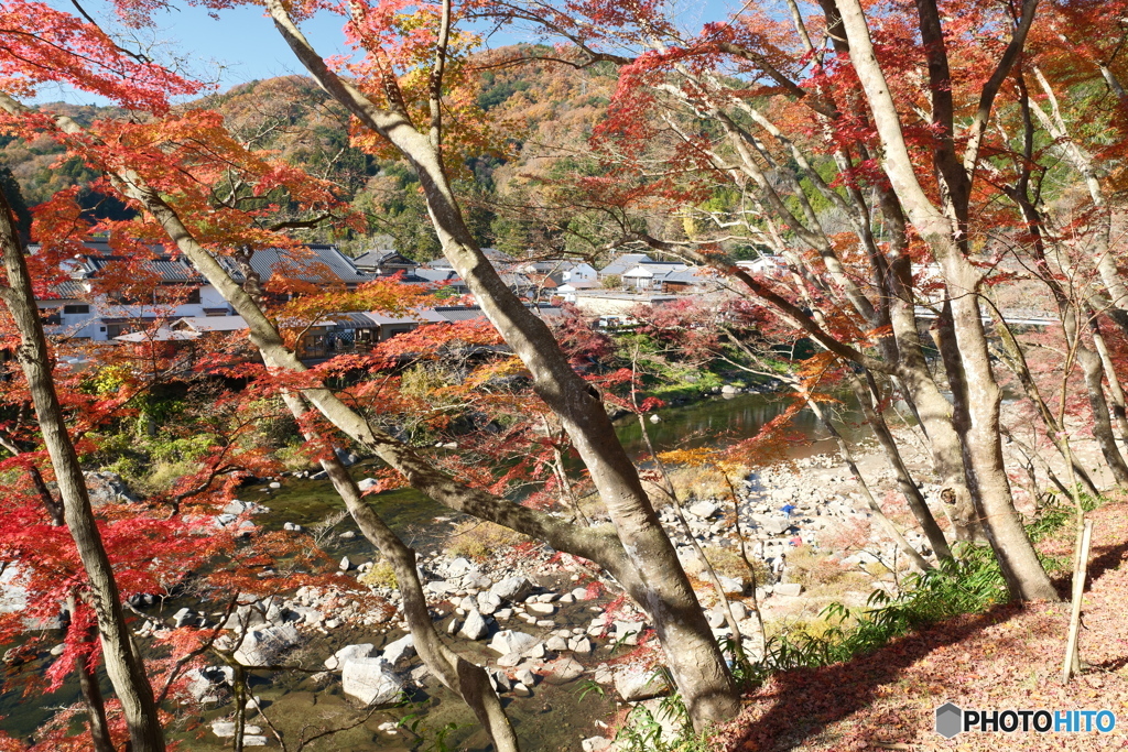 香嵐渓の紅葉８