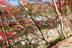 香嵐渓の紅葉８