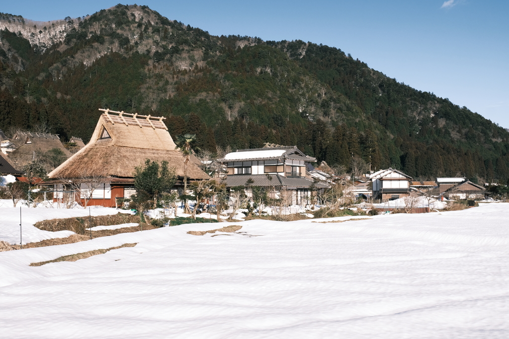 雪が残る中で少しずつ近づいた春１８