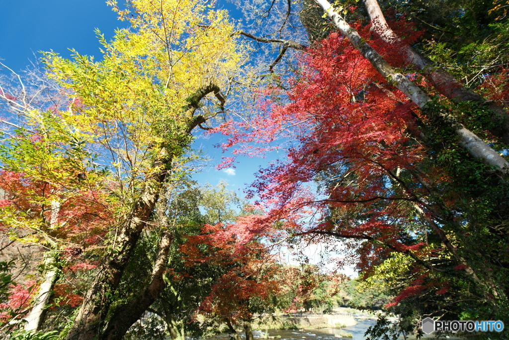秘境で穴場な紅葉の旅３