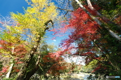 秘境で穴場な紅葉の旅３
