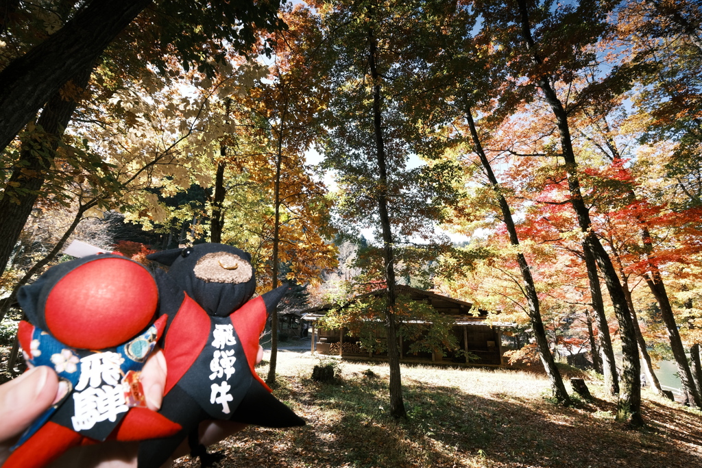 飛騨の里の紅葉巡り１２