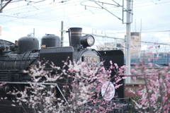梅と一緒に流し撮り１