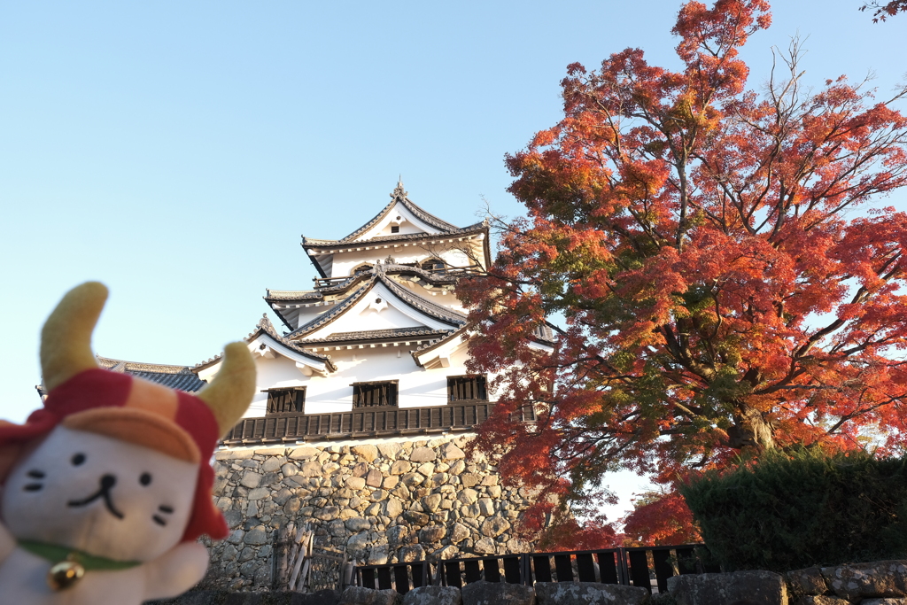 彦根城と真っ赤な紅葉２