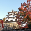 彦根城と真っ赤な紅葉２