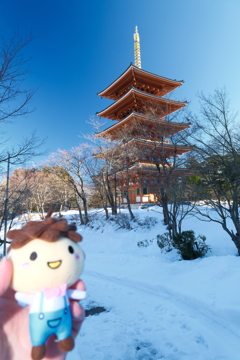 雪は少ないが晴れていた時４