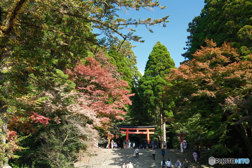 思えば九州で紅葉を撮りに行くのは初めての旅だった５