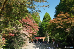 思えば九州で紅葉を撮りに行くのは初めての旅だった５