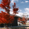 金沢城公園の紅葉巡り５