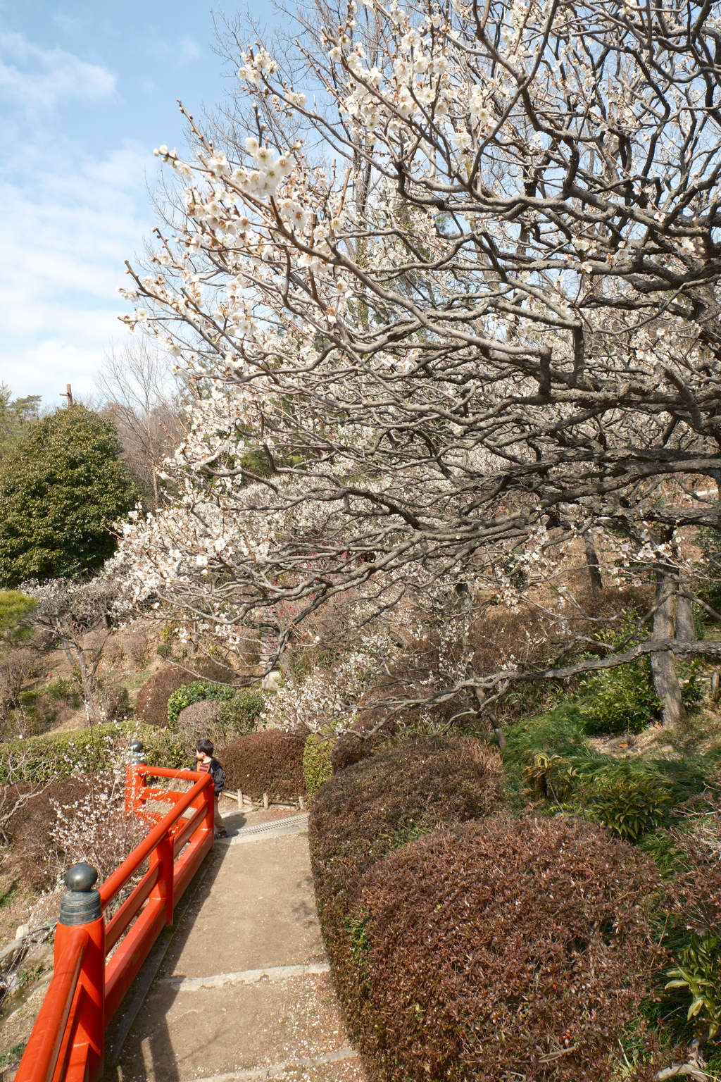 かつて身近だったところも今や遠出、中山寺２