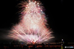 16年ぶりの愛知県は花火甲子園２