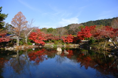 今年最後の見頃であろう紅葉４