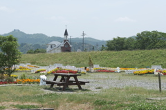 6月にして真夏にような暑さ８
