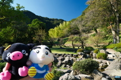 紅葉がメインにならなかった時１０