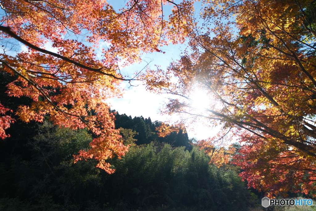 秘境で穴場な紅葉の旅１５
