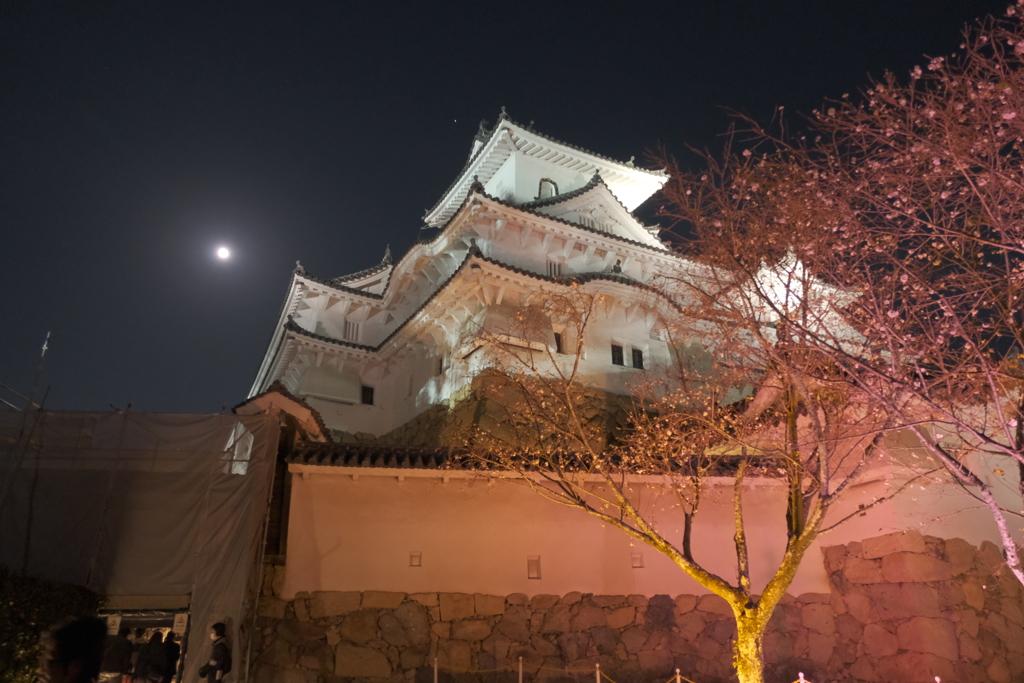 夜の姫路城２