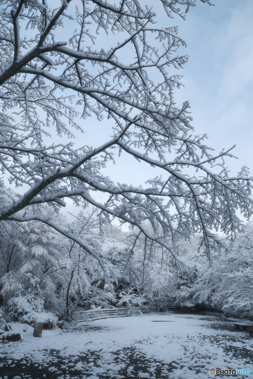 年末最終夜勤明けの近場１０