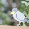ちょっとだけ変わった所があるあやべグンゼスクエアのバラ園６