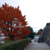 12月の紅葉２４