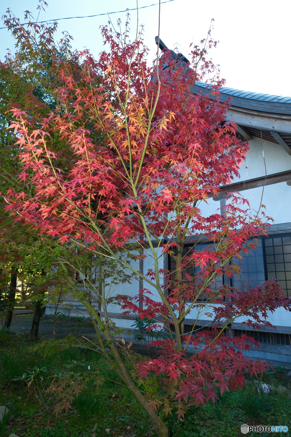 思えば九州で紅葉を撮りに行くのは初めての旅だった１５