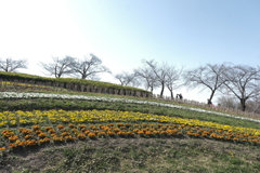 一日中絶好のお写んぽ日和２