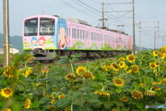 ある日の朝の散歩１