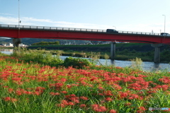 ８年ぶりの広島県だが三次市は所見９