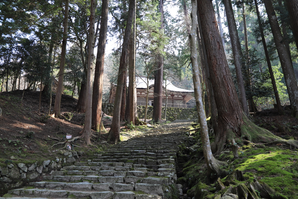 百済寺　参道