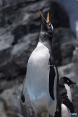 名古屋港水族館