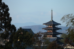 法隆寺7