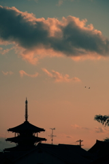 法隆寺4
