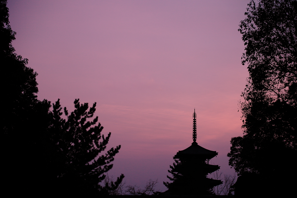 法隆寺6