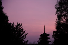 法隆寺6