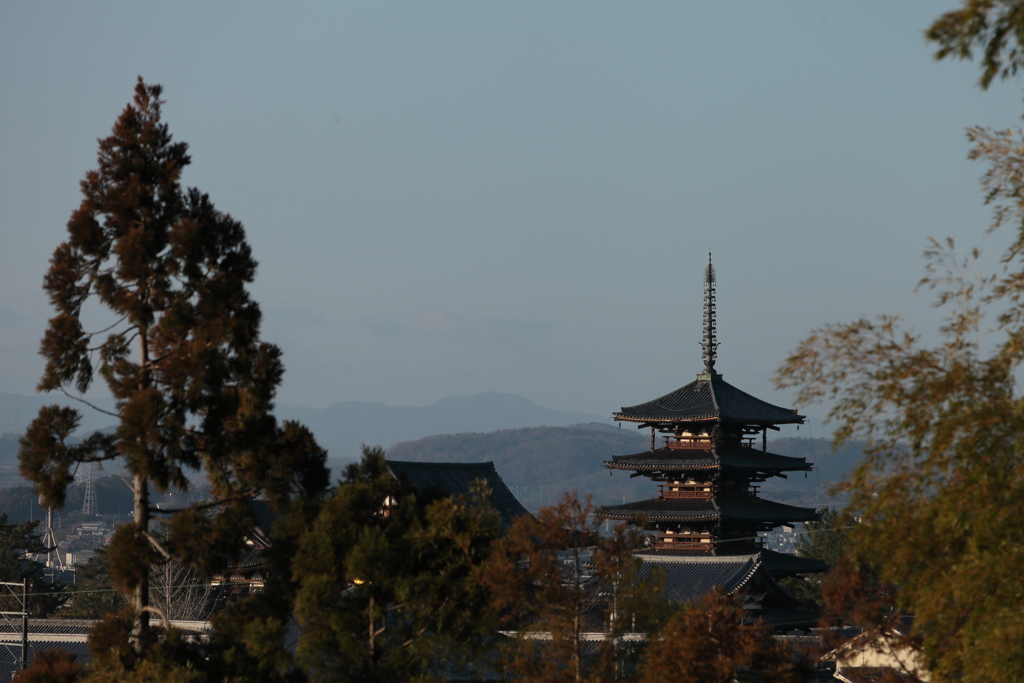 法隆寺8