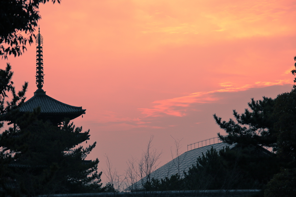 法隆寺5