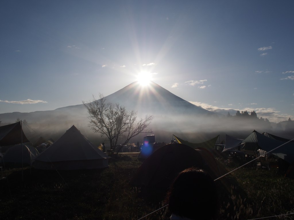 朝霧の朝