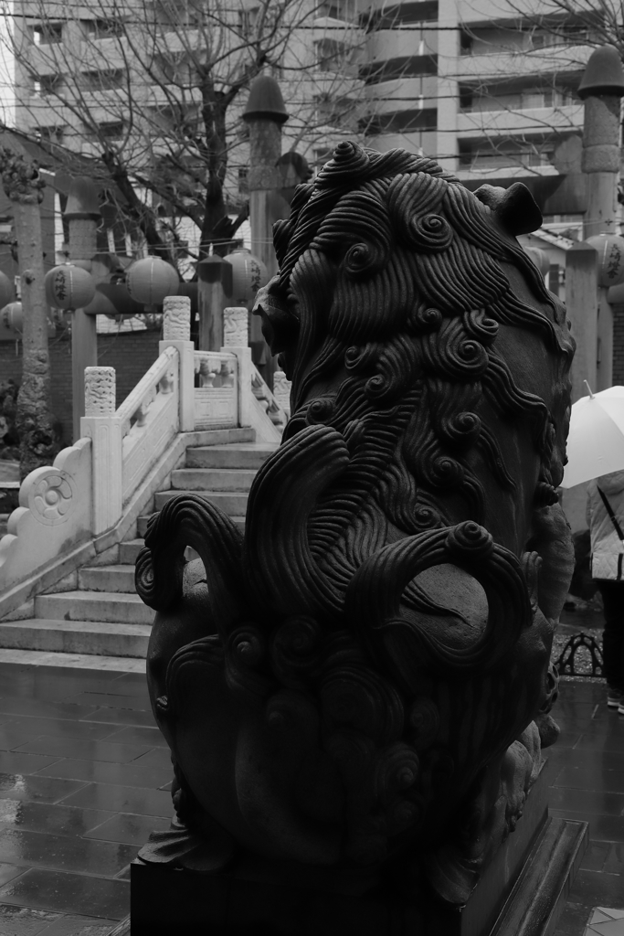 背中