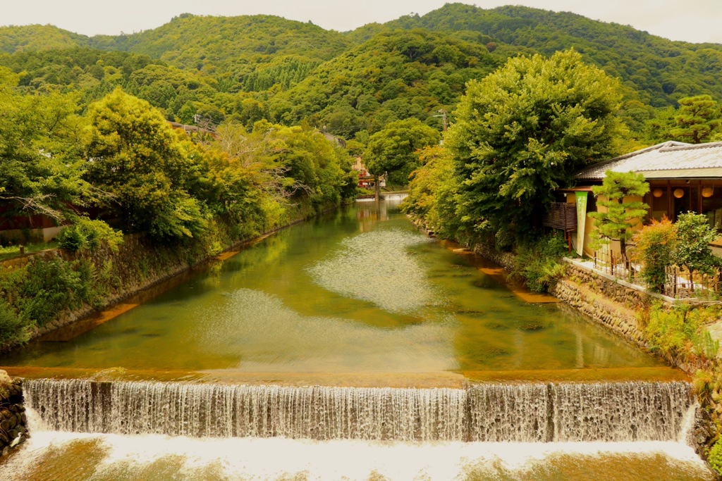 某所