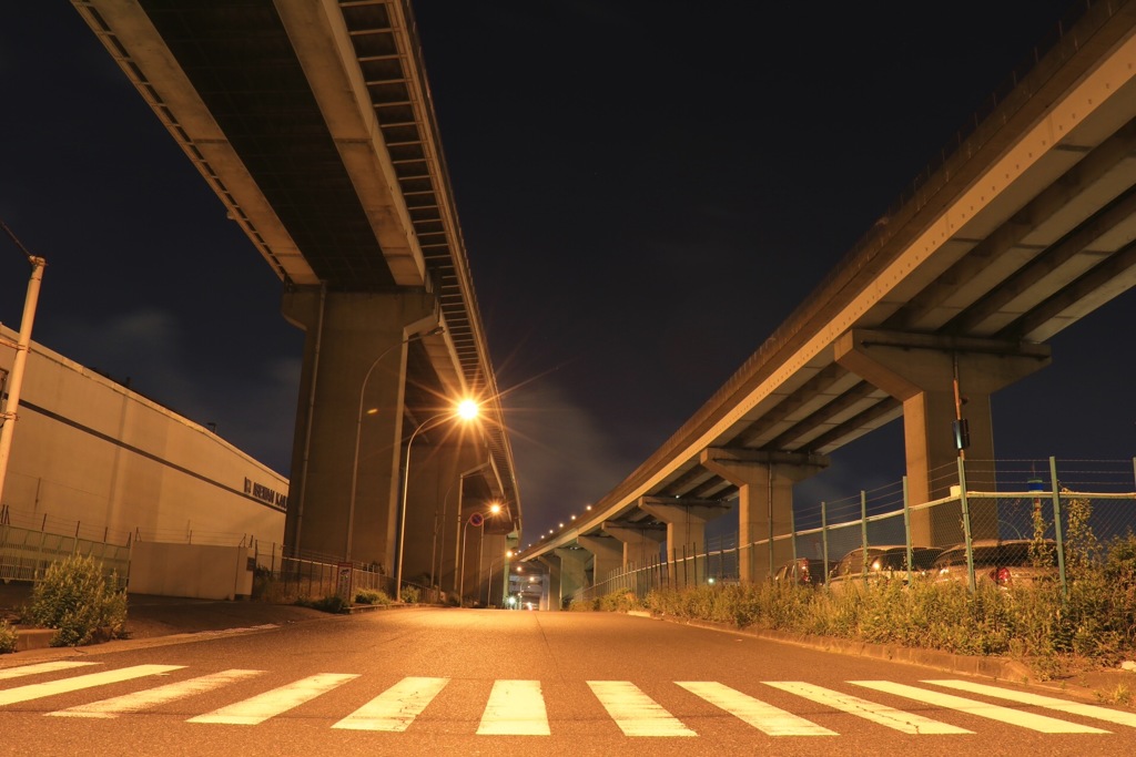 空飛ぶ石蛇