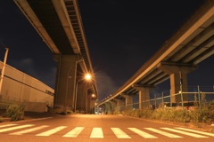 空飛ぶ石蛇