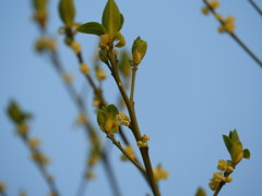 DSCN0228