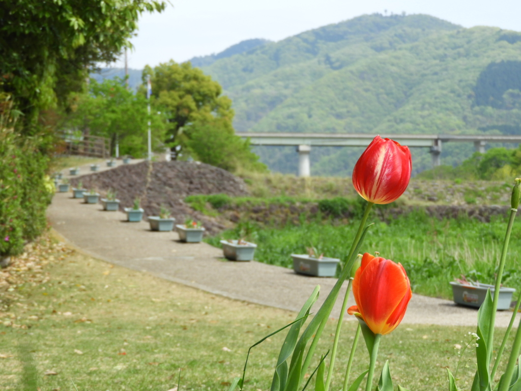 なかよしこよし～(^^♪