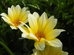DSCN2616