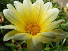 DSCN2612