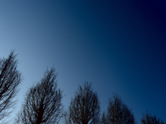 DSCN0892_00001