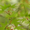 DSCN1127