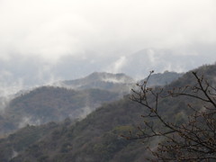 雲山