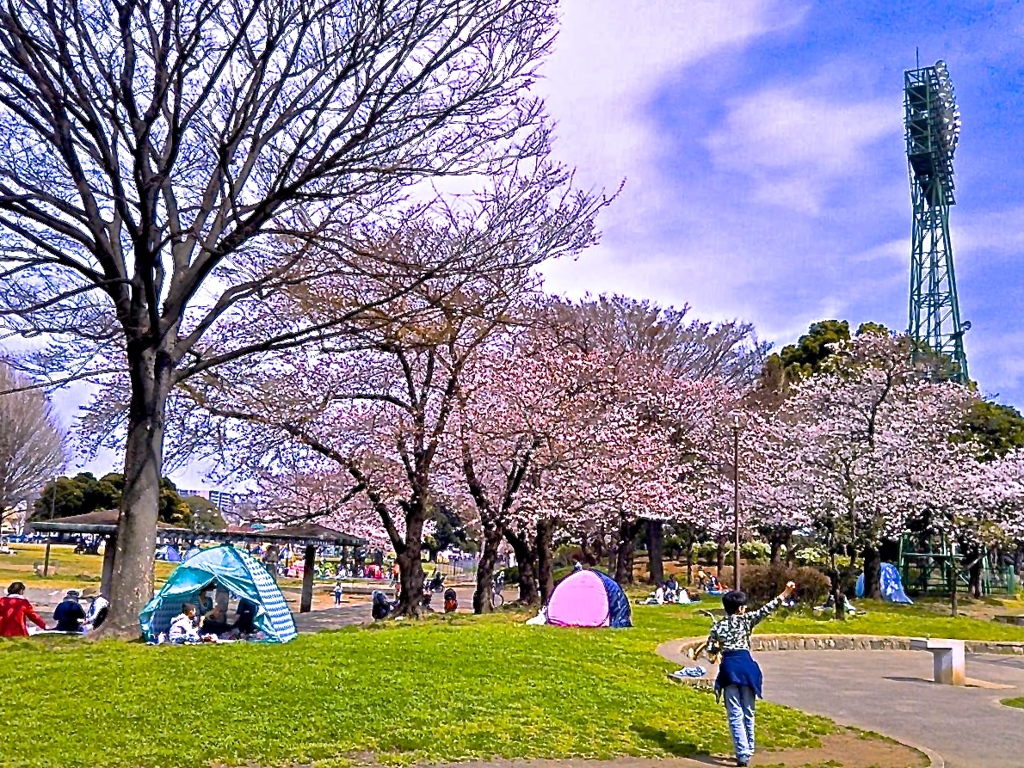 日本の風景③